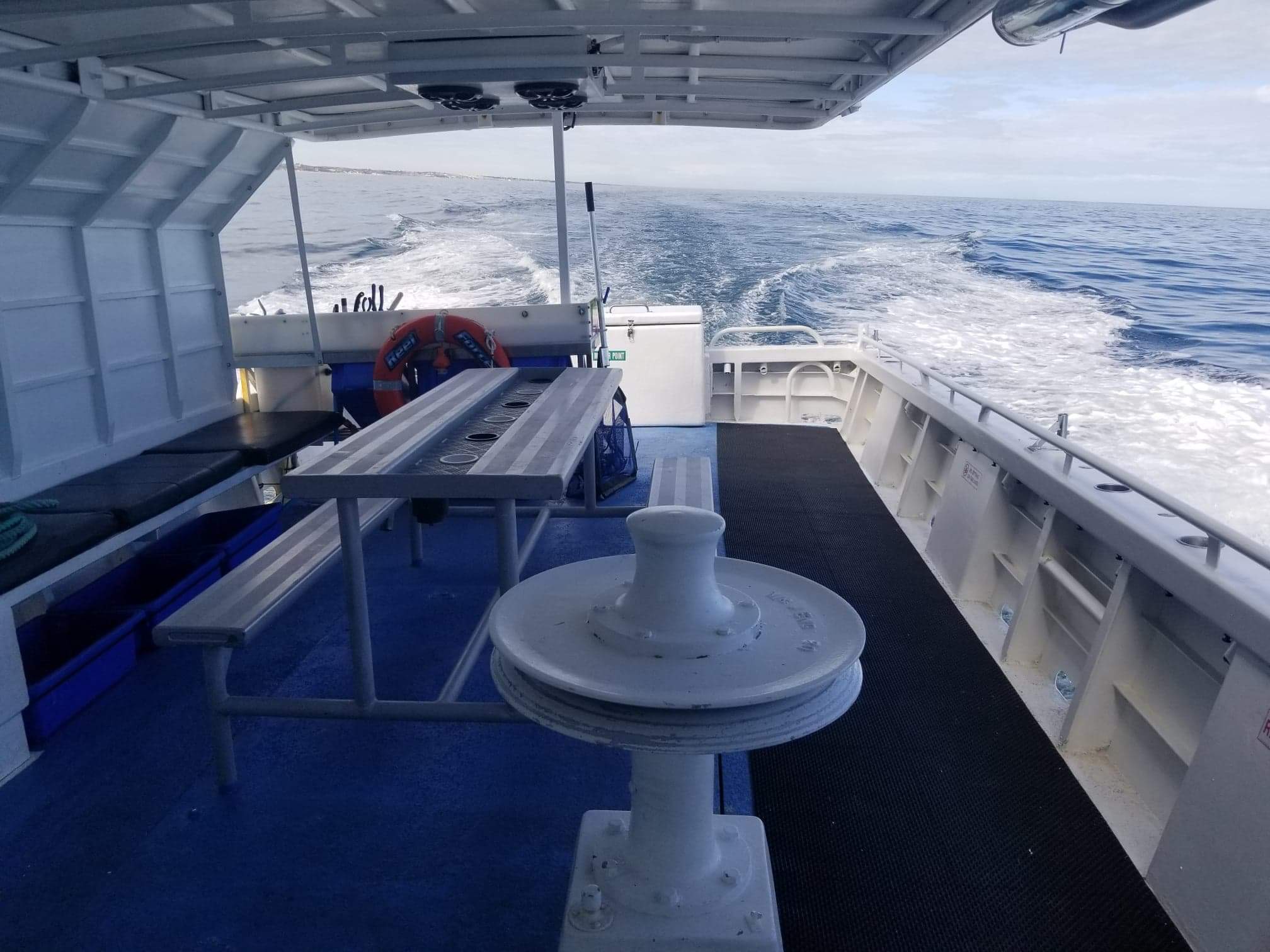 reel-force-photo-of-the-deck